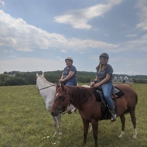 Meet your Posher, Brad